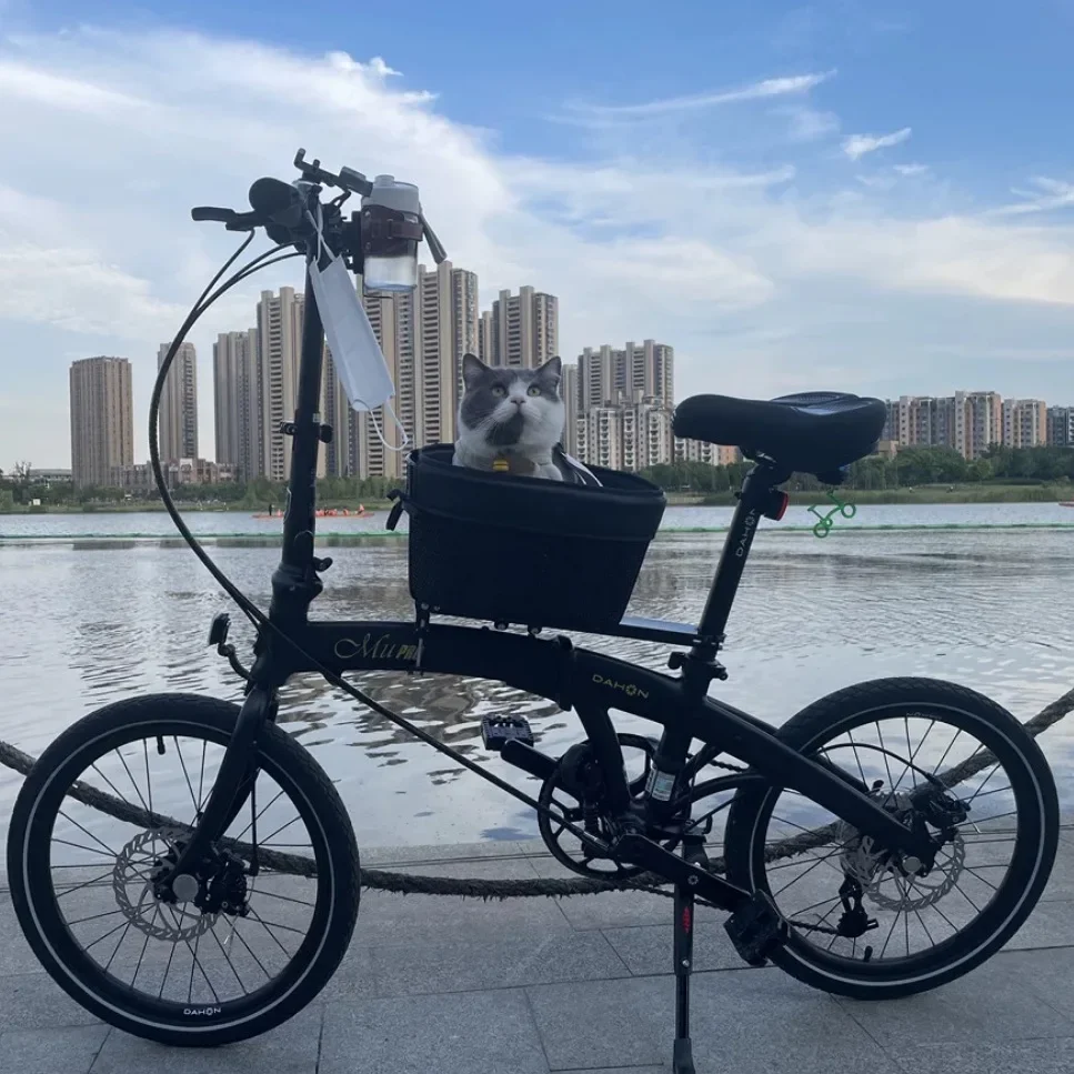 Bicycle Pet Basket Mountain Ro - Mountain Biking With Dog recensione e prezzo