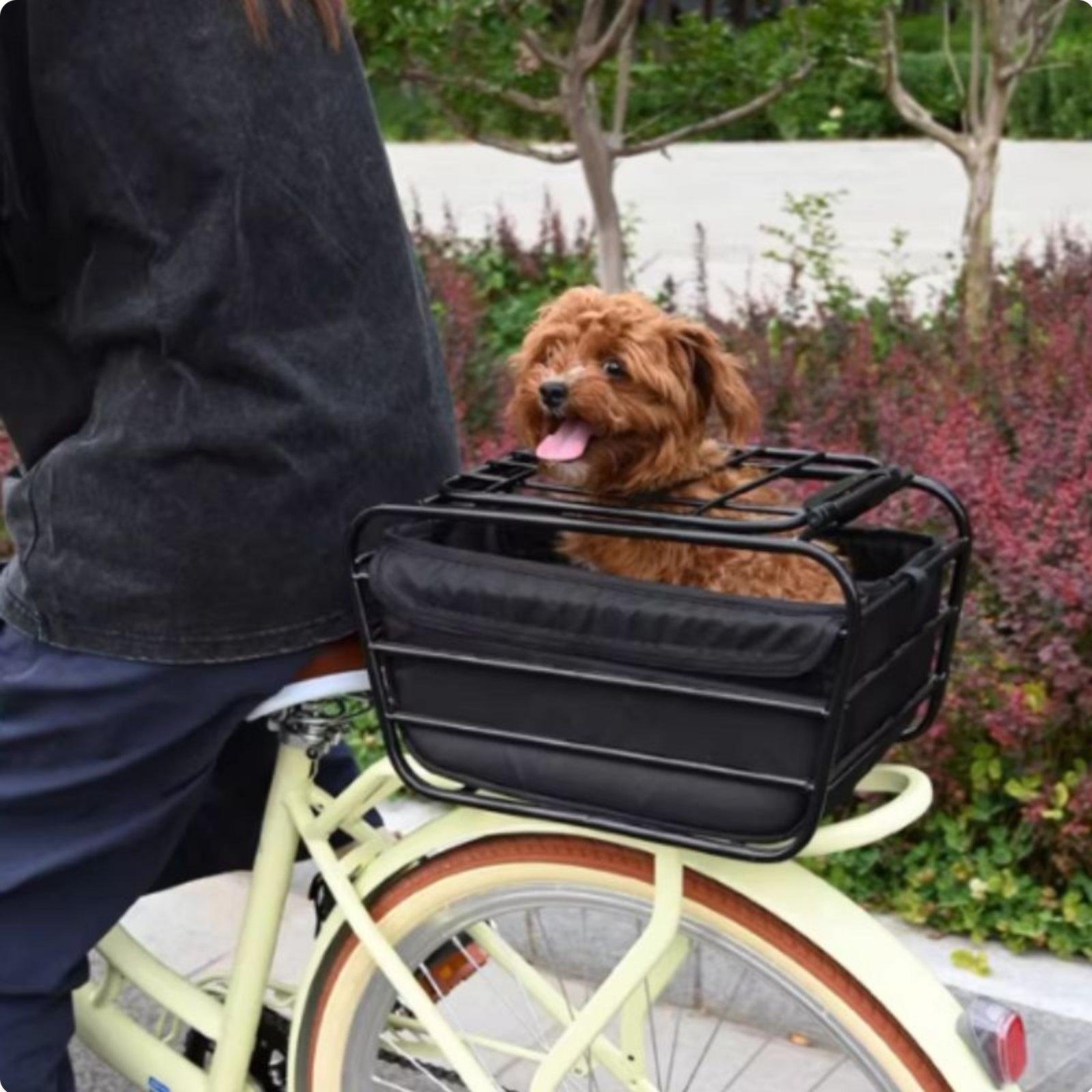 Bicycle Basket With Dog Strap  - Mountain Biking With Dog recensione e prezzo