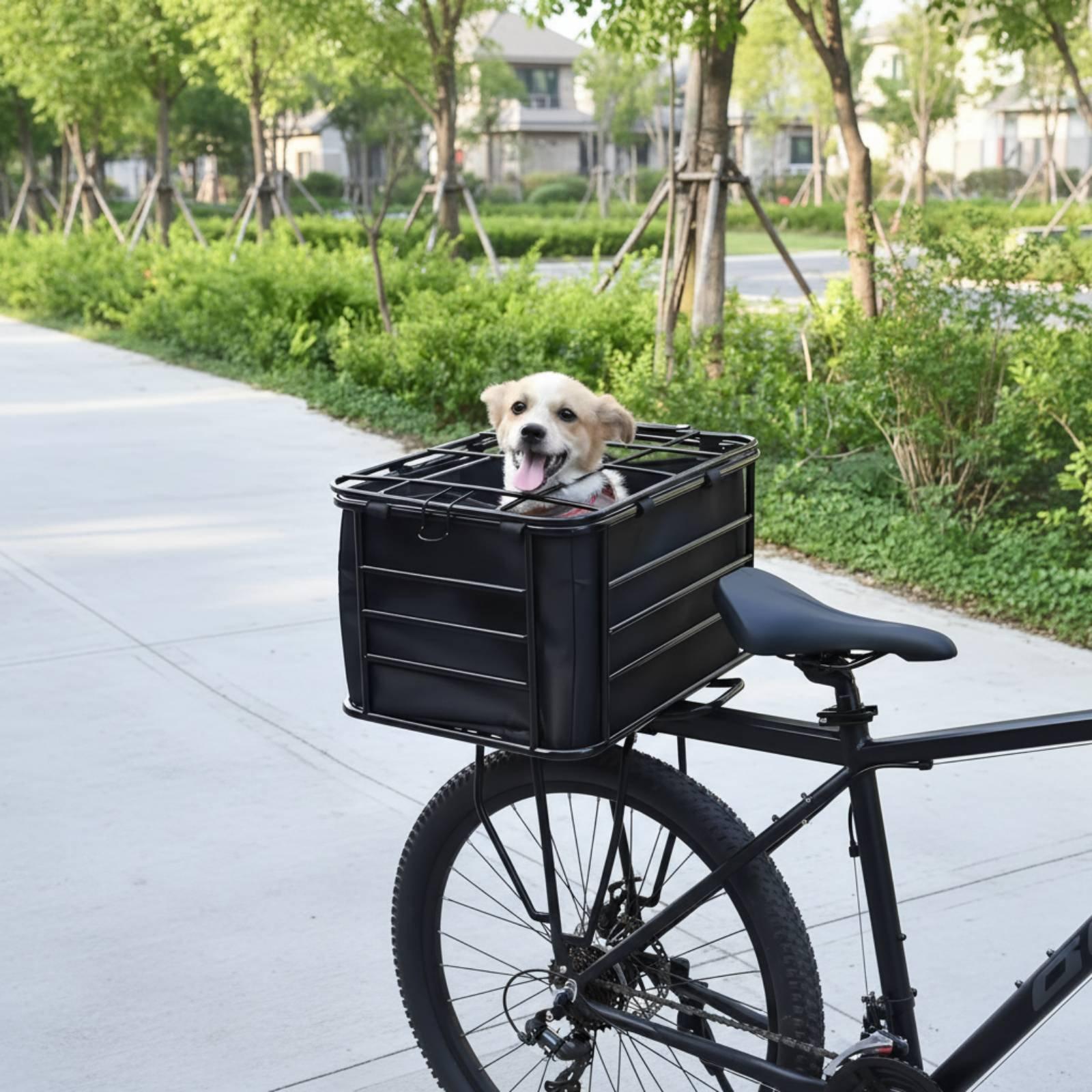 Bicycle Basket With Dog Strap  - Mountain Biking With Dog recensione e prezzo