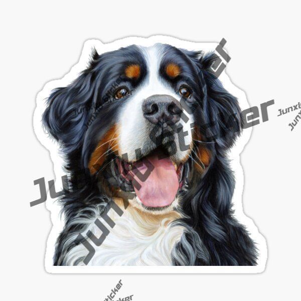 Happy Bernese Mountain Dog Sti - Mountain Biking With Dog recensione e prezzo