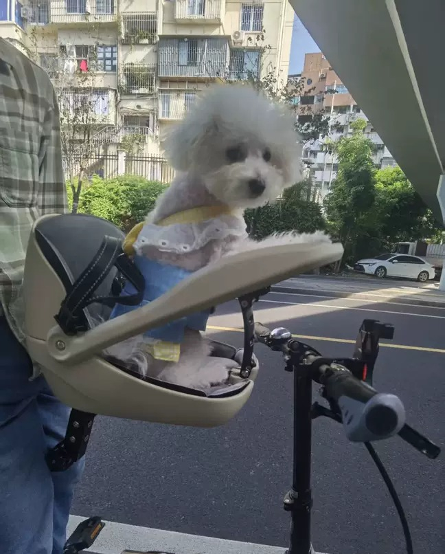 Suitable for folding bicycles, - Mountain Biking With Dog recensione e prezzo