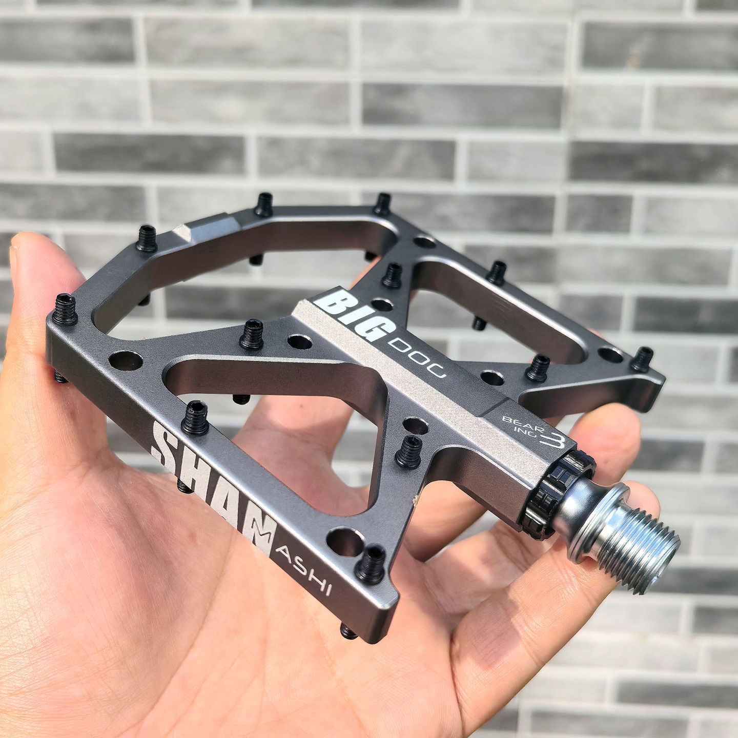 Big dog pedals mountain bike 3 - Mountain Biking With Dog recensione e prezzo