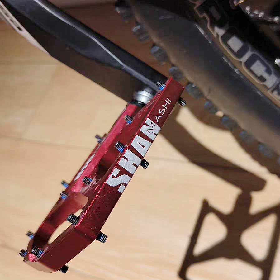 Big dog pedals mountain bike 3 - Mountain Biking With Dog recensione e prezzo