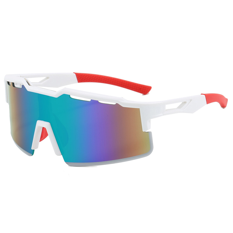 Biking Protective Sunglasses,  - Mountain Biking Essentials recensione e prezzo